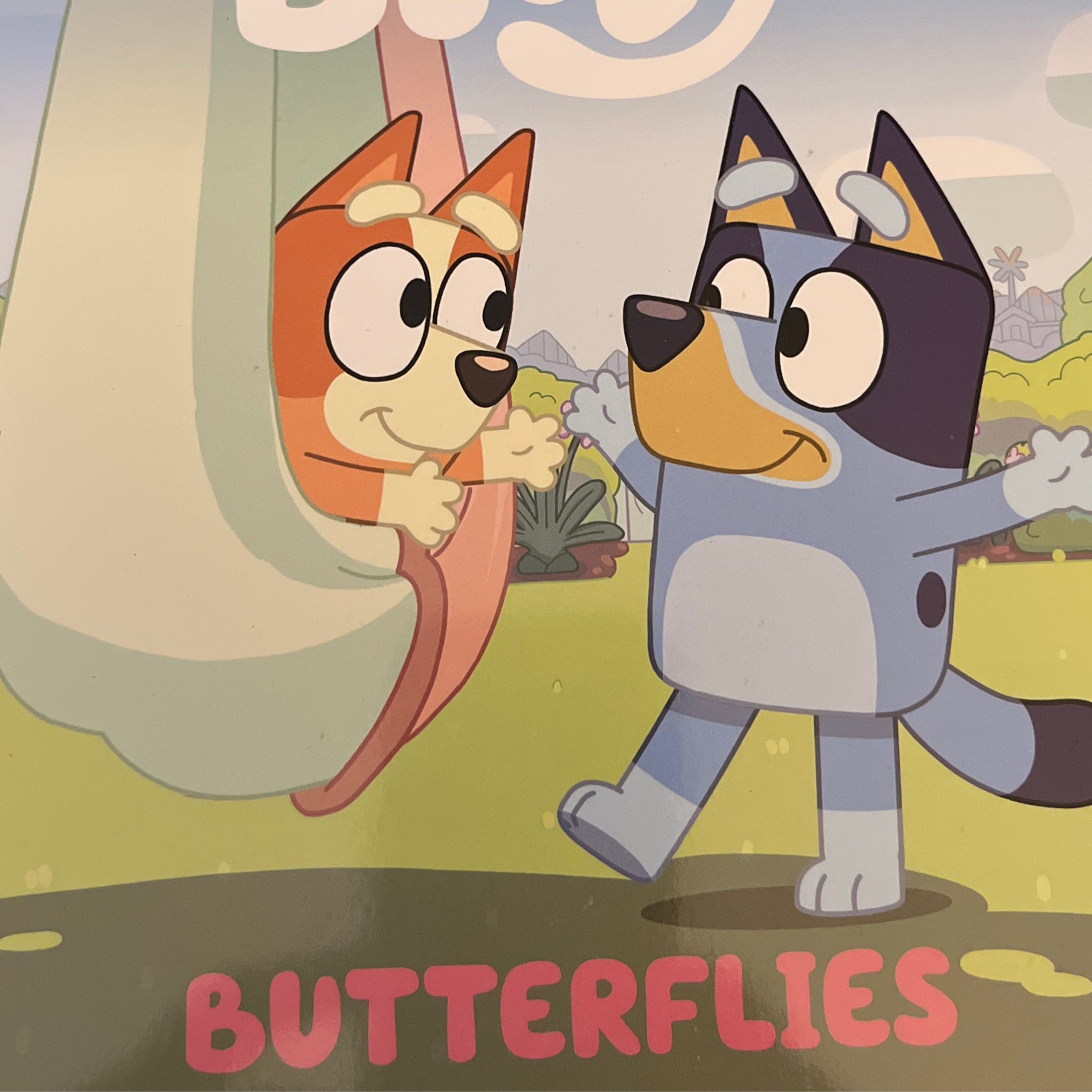 Bluey Butterflies Books a Go Go